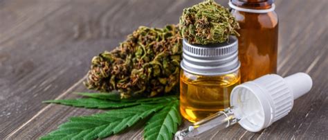 Comment Reconna Tre Un Bon Produit De Cbd