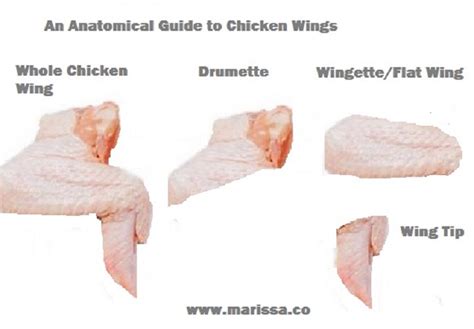 Anatomical Guide To Chicken Wings Marissas Recipes And Ideas