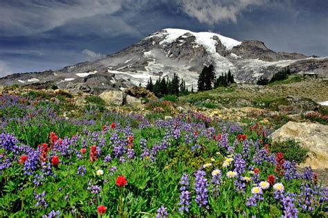 Best National Parks Of The Pacific Northwest