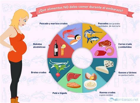 Cuáles son los alimentos prohibidos en el embarazo. Qué alimentos no debo comer durante el embarazo | Infografía | Comer durante el embarazo ...