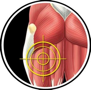 Possible causes of lower back and hip pain include sprains, strains, and a herniated disk. The One Glutes Exercise You Should Be Doing But Probably ...