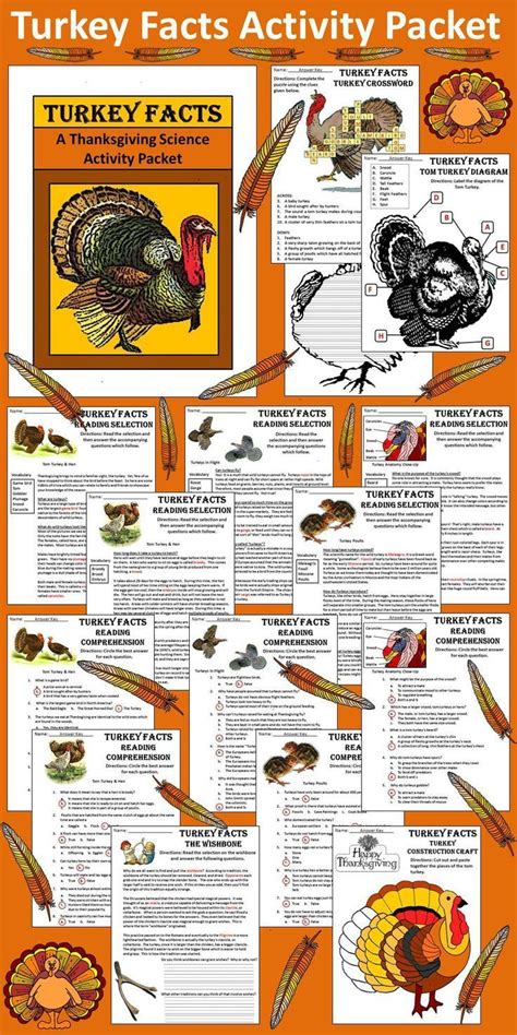 Turkey Activities Turkey Facts Thanksgiving Science Activity Color