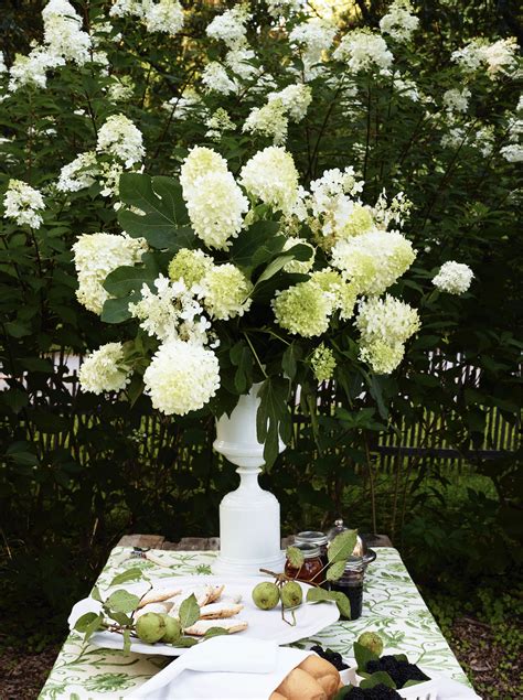 15 Elegant White Flower Arrangements That Will Never Go Out Of Season