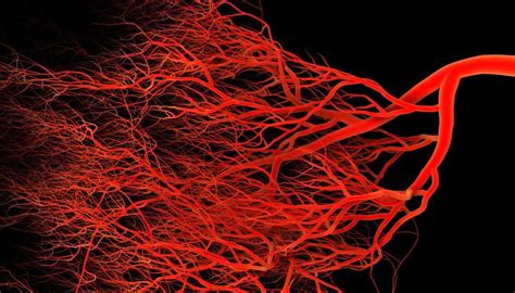 Leaky Blood Vessels May Trigger Alzheimers