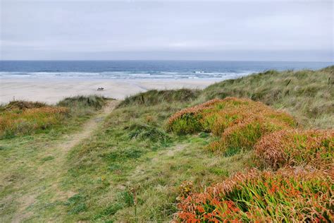 Free Images Landscape Sea Coast Nature Path Grass Outdoor Sand