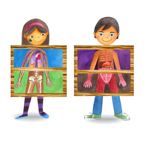 The series inside the human body takes a look at the inner workings of the human body. QP: Inside the Human Body! | rainbow-montessori-nursery.co.uk