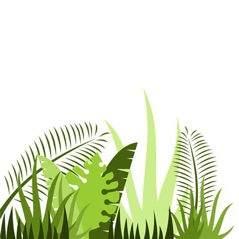 Jungle Leaves Clipart Free Download Transparent Png Creazilla