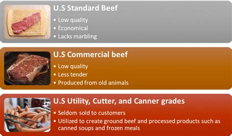 The Best Grades Of Meat As Per USDA Beef Grading System