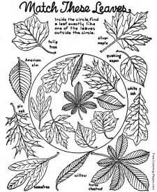 In the southern hemisphere, fall begins with the march equinox. Autumn or Fall Coloring Book Pages - 12