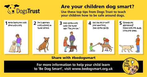 Dogs Trust Be Dog Smart Week 19 25 June Caw Blog