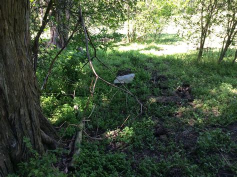 Gentry Family Cemetery på Elkin, North Carolina ‑ Find a Grave