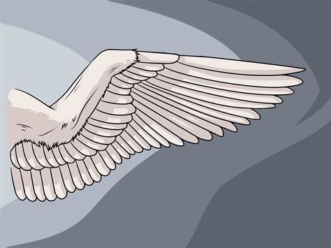 How To Draw Wings 12 Steps With Pictures Wikihow