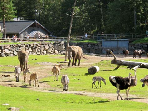 Utan konstgjorda tillsatsämnen och sötningsmedel. Lizas Place - Borås djurpark