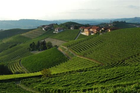The kingdom of italy (italian: Barbaresco, Olaszország