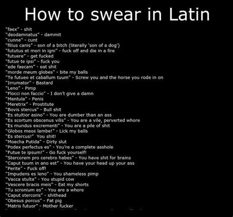 They send their best, and like the rest they send home the slates. here y'all go if you want to curse in Latin - Meme by ...