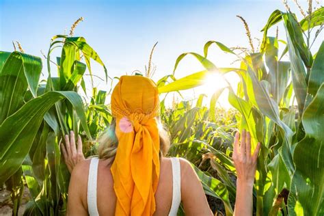 Woman Walking Through Organic Green Corn Fields Nature Lover Summer