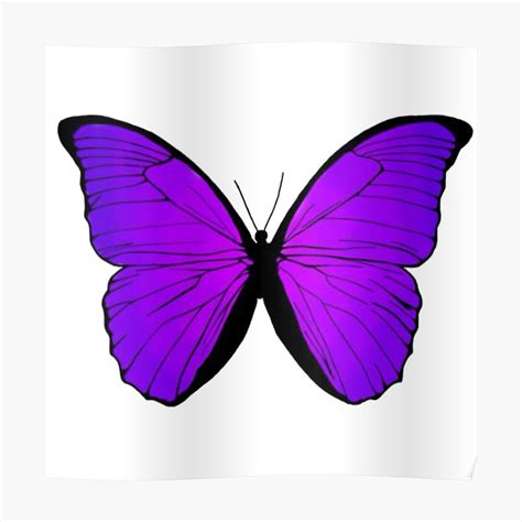 Result Images Of Mariposas Moradas Para Imprimir Png Png Image Sexiz Pix