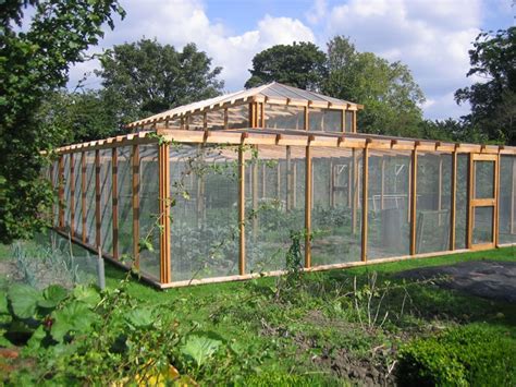 We did not find results for: HOW TO PROTECT FRUIT FROM BIRDS |The Garden of Eaden