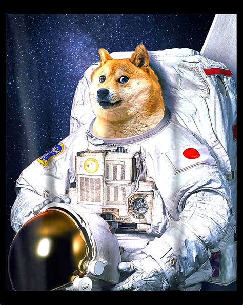 Cute Shiba Inu Doge Astronaut To The Moon Funny Png Digital Art By