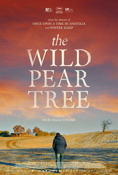 Movie Poster Of The Week Nuri Bilge Ceylans “the Wild Pear Tree” On