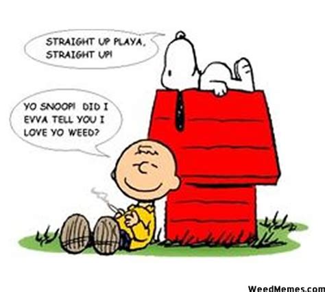Charlie Brown Loves Snoopys Weed Cartoon 420 Memes