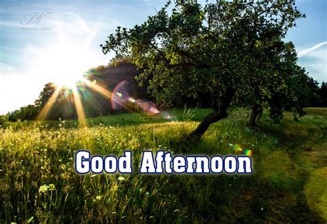 Good Afternoon Sun Shining Bright Good Afternoon Wishes Premium