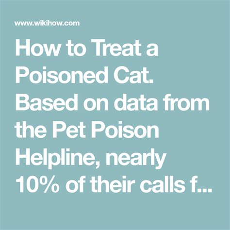 How To Treat A Poisoned Cat 13 Steps With Pictures Pet Poison