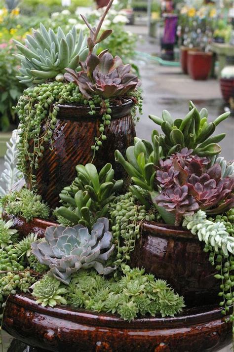 Rather than buying a cactus garden, you can easily create your own with little investment. Stacked Cactus Garden Ideas Photograph | ... Gardens Ideas,