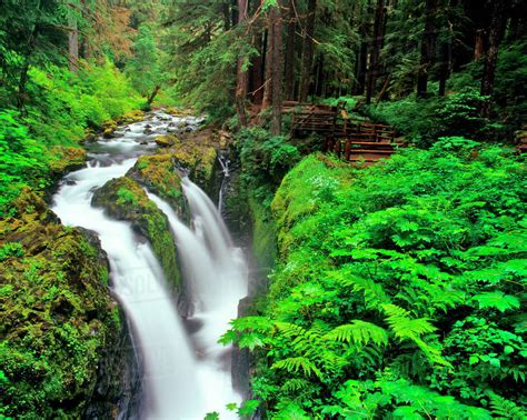 Sol Duc Falls In Olympic National Park In Washington Stock Photo