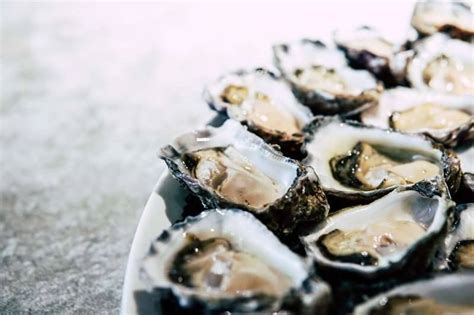 The latest tweets from georges river eec (@georgesrivereec). New paper examines rise and fall of Oyster populations in ...