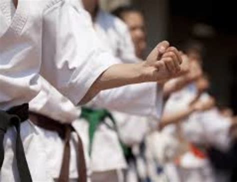 The Most Effective Martial Arts Tri City Judo