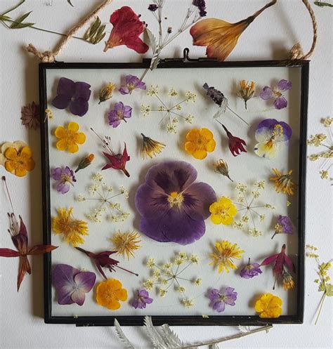Regine Heilmann Pressed Flowers In Glass Frame Diy Long Rectangle