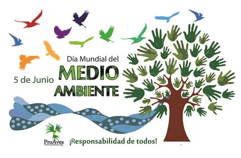 Ma Ana De Junio Es El D A Mundial Del Medio Ambiente Ecosistemas Cl