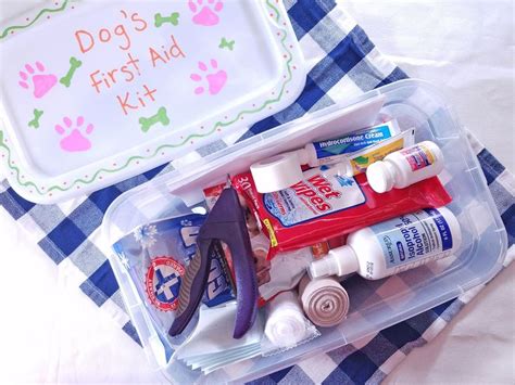 How To Make A Diy First Aid Kit For Your Dog With Video Diy First