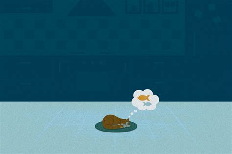 How to outsmart and get rid of mice in your home - The Washington Post