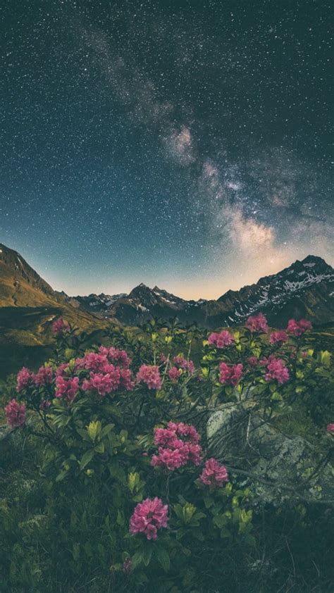 Scenery wallpaper view wallpaper nature aesthetic forest wallpaper iphone best iphone wallpapers. Aesthetic Nature Wallpapers - Top Free Aesthetic Nature ...