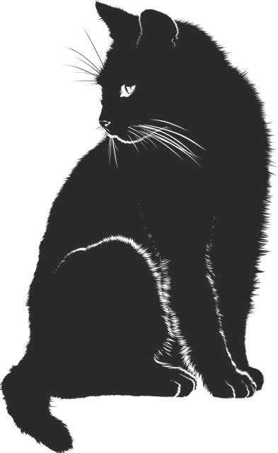 Cat Shadow Silhouette · Free vector graphic on Pixabay