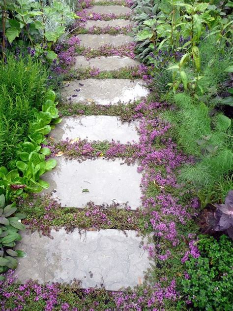 Top 10 Ground Cover Plants For Garden Paths