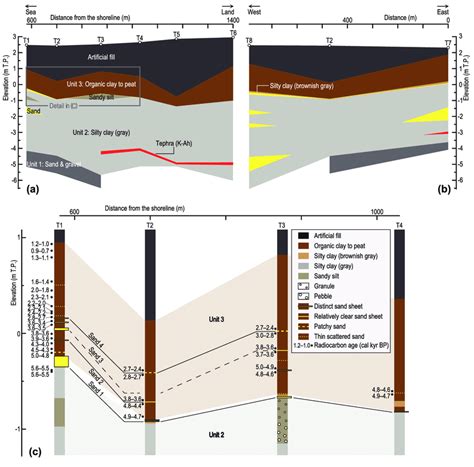A Cross Section Of Transect Location In Figure C B