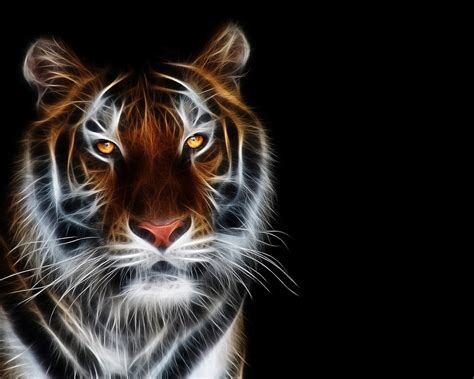 Top 48 Imagen Imágenes De Tigres Para Fondo De Pantalla Thptnganamst