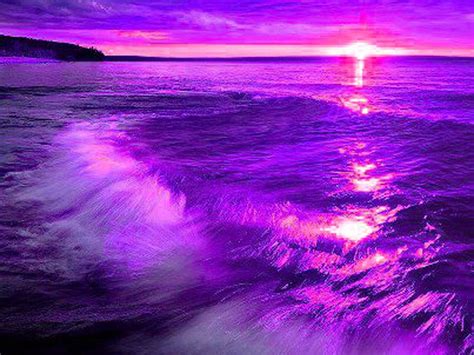 Light Purple Ocean Aesthetic All About Logan