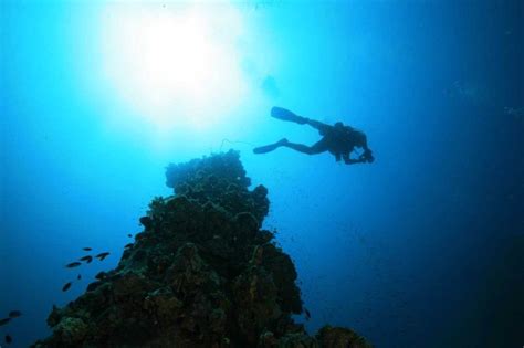 Scuba Diving In Coron Palawan Travel Guide