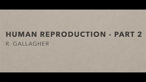 Human Reproduction Part 2 Youtube