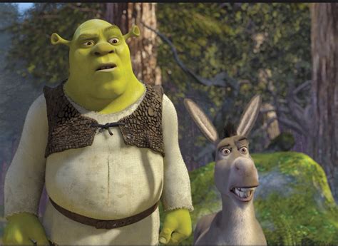 Image Shrek And Donkey In Shrek  Wikishrek The Wiki All About