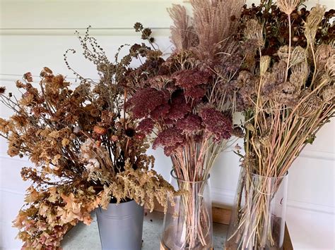 Dried flowers for sale nz. Dried Flowers | The Pickery