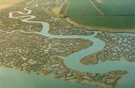 Top Amazing Beautiful Salt Marshes Salt Marsh Coastal Marsh Aerial