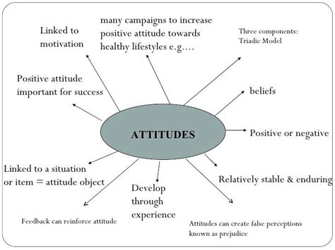 Attitude Revision