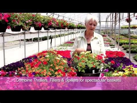 Shop gifts for baby on thebay. Fred Meyer -- Planting Your Hanging Basket | Plants ...