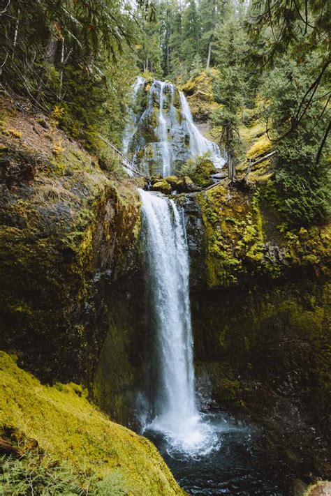 Falls Creek Falls Trail In Washington State Trail Route Hiking Tips