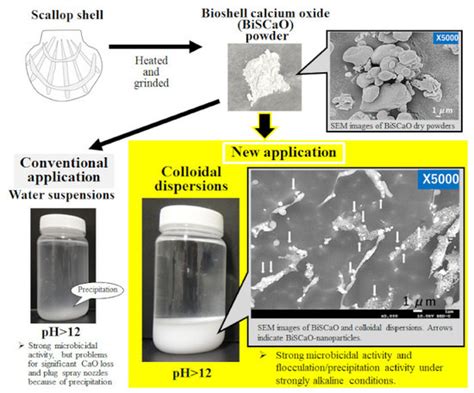 Polymers Free Full Text Application Of Colloidal Dispersions Of